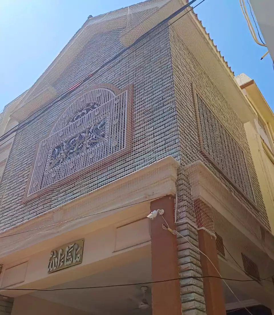 Pigeon Nets - Image 3