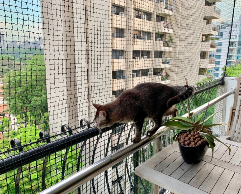 Pets Safety Nets - Image 2