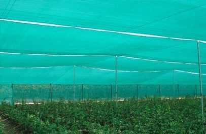Shade Nets installation view 3